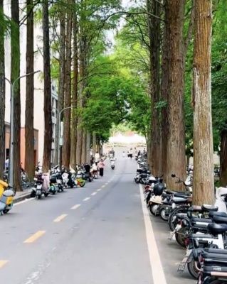 武大学子定向越野4公里感受萌动夏意