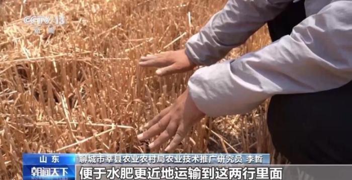 科技助力夏收,实现农业良性循环发展
