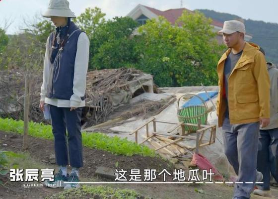 刘诗诗借真人秀为婚姻正名，打破综艺偏见