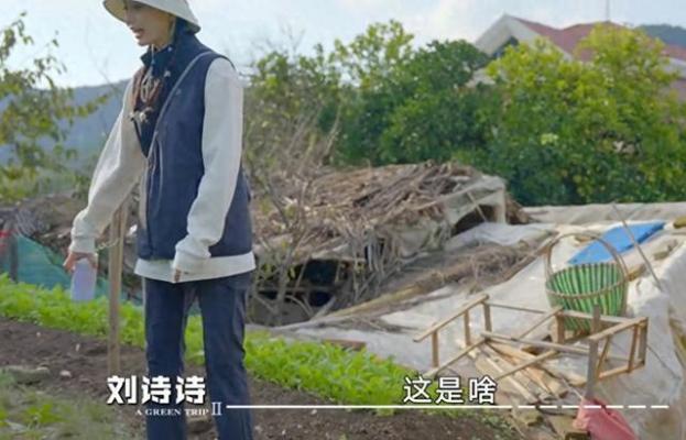 刘诗诗借真人秀为婚姻正名，打破综艺偏见