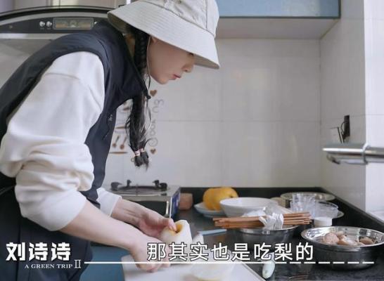 刘诗诗借真人秀为婚姻正名，打破综艺偏见