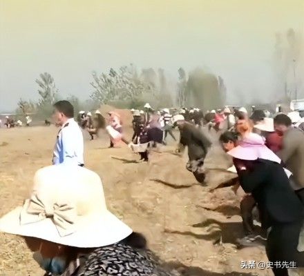 村民哄抢500亩土豆因收购商压价过低引发不满
