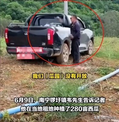村民哄抢500亩土豆因收购商压价过低引发不满