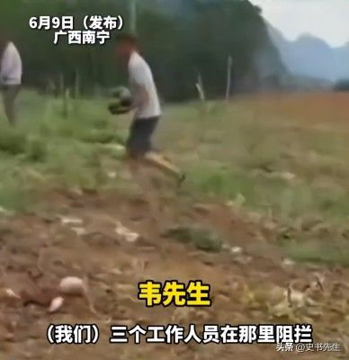 村民哄抢500亩土豆因收购商压价过低引发不满