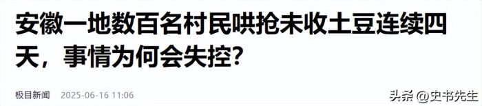 村民哄抢500亩土豆因收购商压价过低引发不满