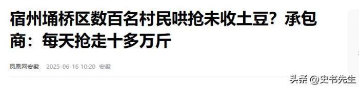 村民哄抢500亩土豆因收购商压价过低引发不满