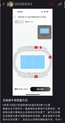 部分“苏超”比赛遭遇“黄牛”哄抢一票难求？9.9元球票最高炒到600元，网店推出加价代拍业务