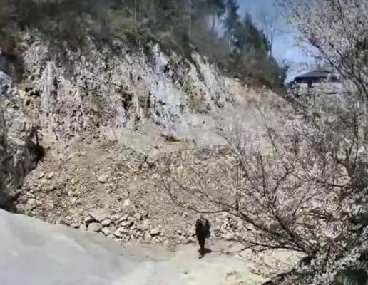 重庆老汉失踪近3月后水塘发现其浮尸