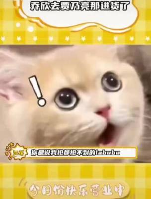 贾乃亮乔欣三年后再合体，这次在哈尔滨！