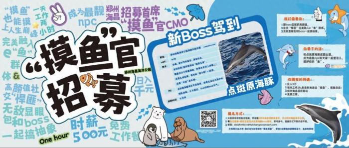公司招聘“摸鱼官”，月薪3万引发热议