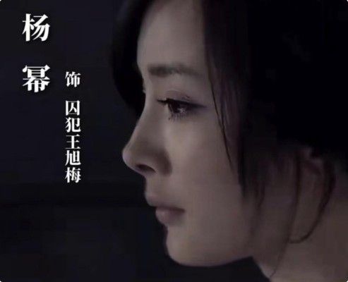 连章子怡都救不了《酱园弄》？外网口碑暴跌