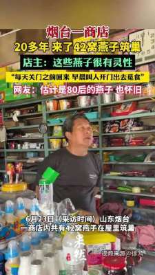 超市20年42窝燕子筑巢