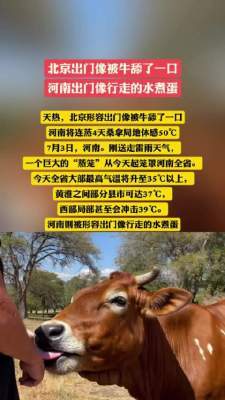 避暑妙招：自然清凉法