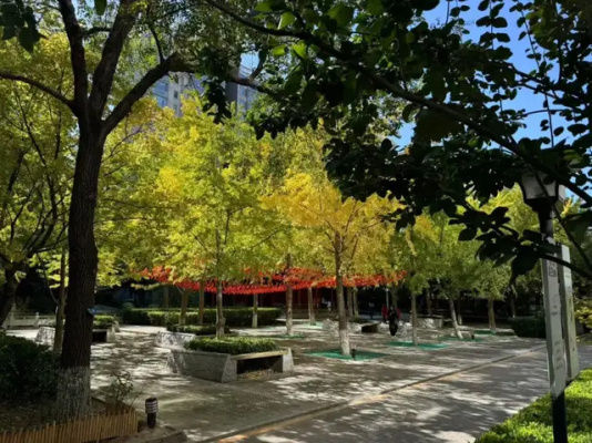 年轻人买房偏好“树景房”