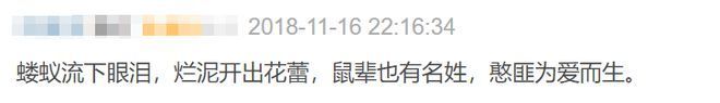 国产片口碑翻车，观众失望