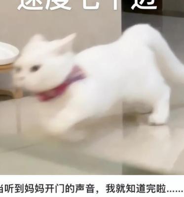 大学生晒放假在家真实状态：不知家在何方