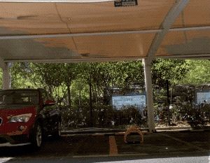 夏天穿长袖长裤真的更凉快吗
