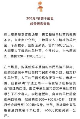 菌中之王火爆市场，每公斤售价高达1800元