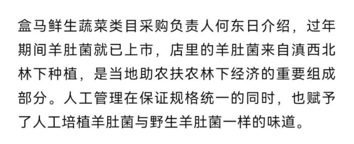 菌中之王火爆市场，每公斤售价高达1800元