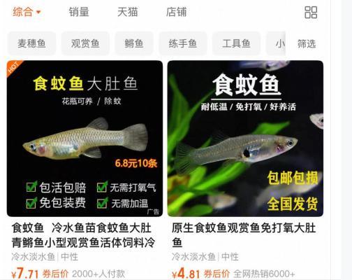 5千多灭蚊鱼上岗,助力防控登革热