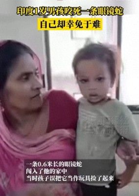 男童咬死眼镜蛇奇迹生还