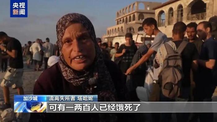 加沙民众冒生命危险觅食