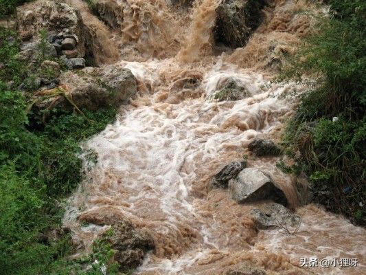 一觉醒来洪水淹床板，紧急逃生记