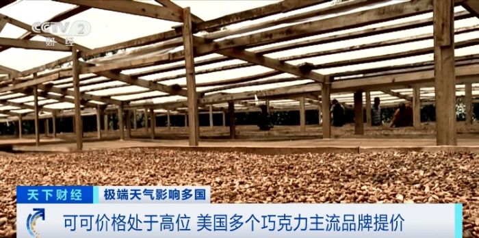 价格飙涨121%！三大巨头集体宣布涨价
