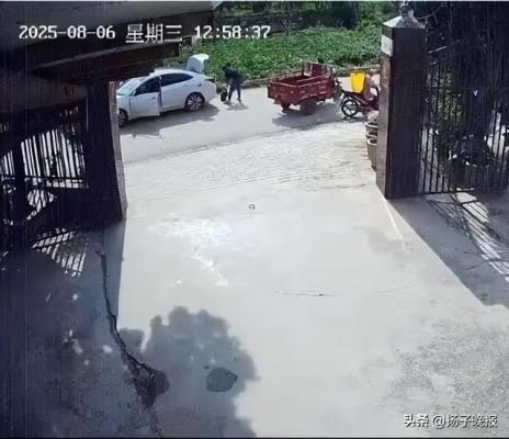 养了30多年的鳄龟被过路司机抱走，主人恳求“不要杀它，很通人性”，警方：已调监控