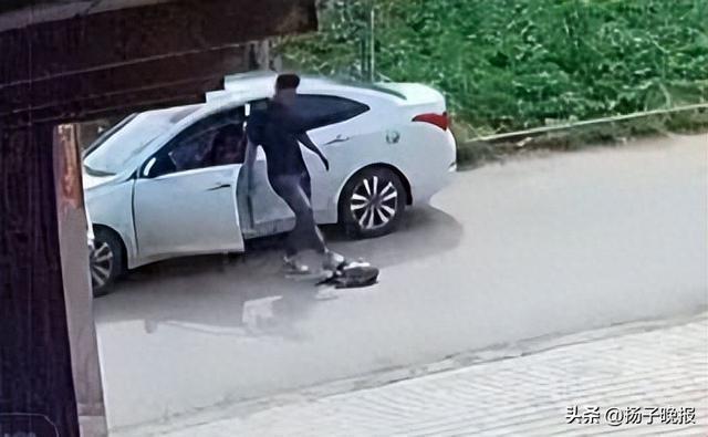 养了30多年的鳄龟被过路司机抱走，主人恳求“不要杀它，很通人性”，警方：已调监控