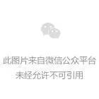 用28万LV包测试路人诚信,系摆拍