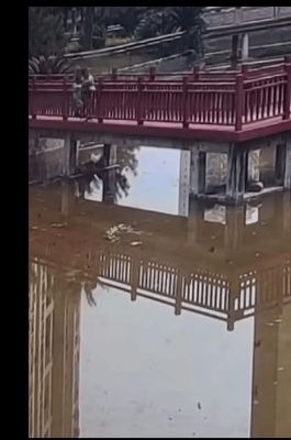 湖南网友曝光：5岁孩童被男童推下水池