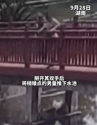 湖南网友曝光：5岁孩童被男童推下水池