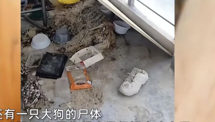 江苏情侣拖欠四月房租，房东崩溃