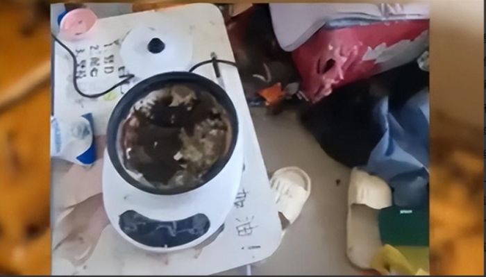 江苏情侣拖欠四月房租，房东崩溃