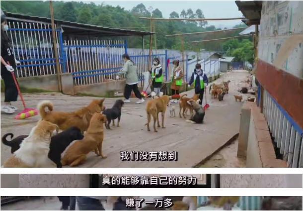 小学生月入过万,李佳琦都羡慕