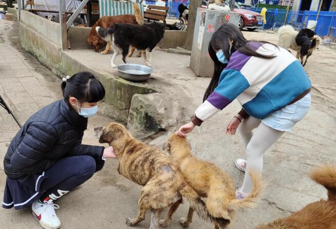 小学生月入过万,李佳琦都羡慕