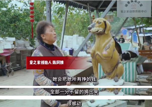 小学生月入过万,李佳琦都羡慕