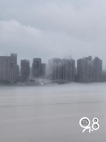 杭州今晨大雾，市民出门惊呆