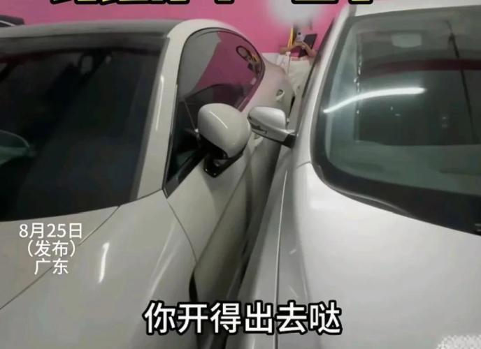 广东保时捷“采纳姐”嚣张占位，身份曝光引热议