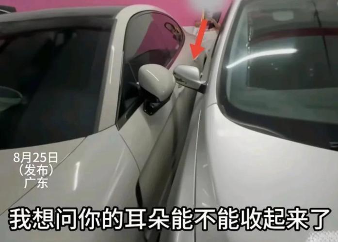 广东保时捷“采纳姐”嚣张占位，身份曝光引热议
