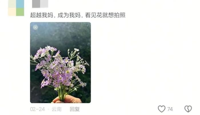 小时候以为大人不爱零食是装的