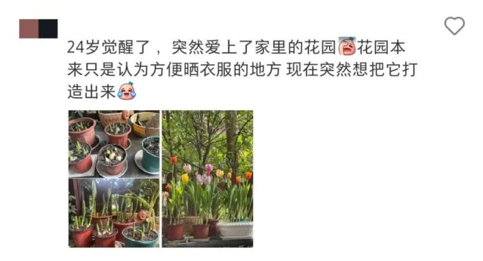 小时候以为大人不爱零食是装的