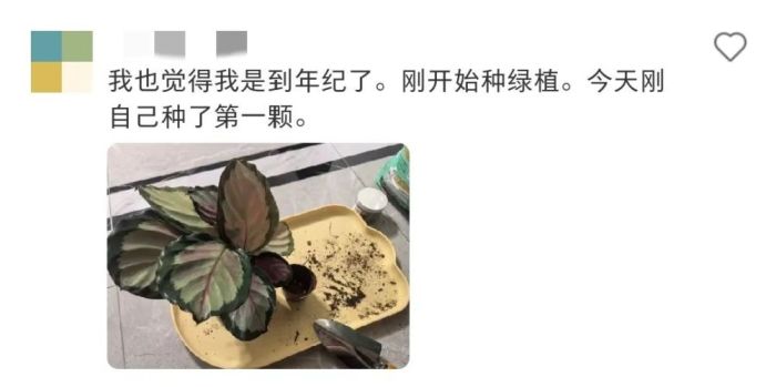 小时候以为大人不爱零食是装的